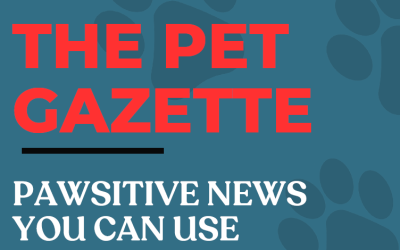 Pet Gazette Winter 2024 Newsletter