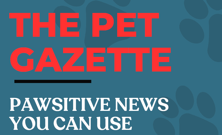 Pet Gazette Winter 2024 Newsletter